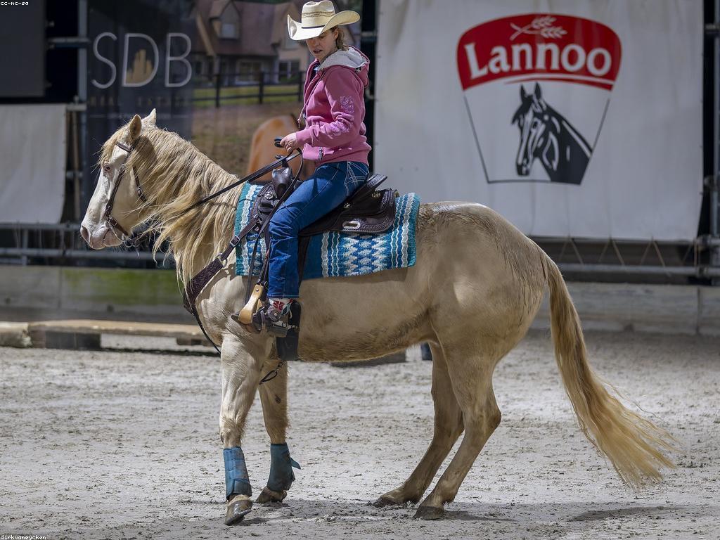 ការប្រកួតសូម្បី: សមត្ថភាពនៃការប្រកួតប្រជែង