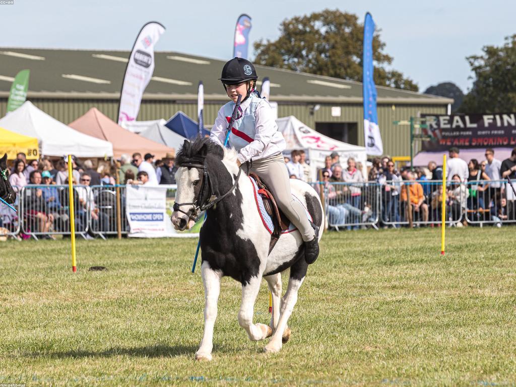 វិធីលេងដើម្បីសម្តែងភាពសប្បាយរីករាយ