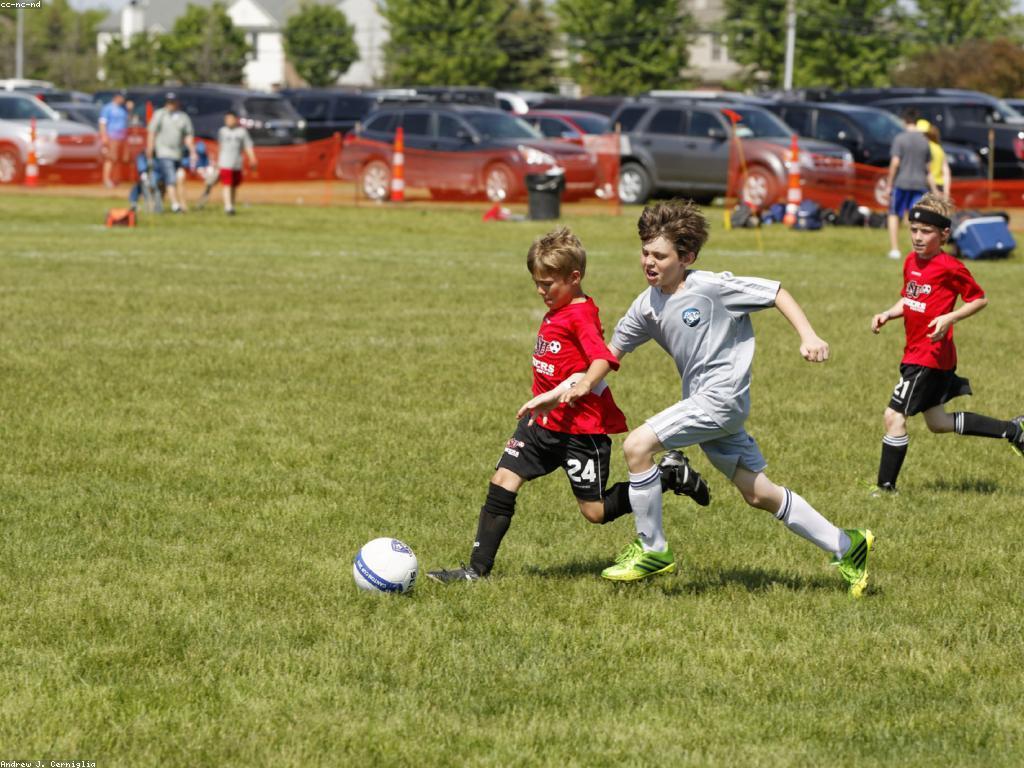 ល្បែងកីឡា: ការយល់ដឹងនិងគន្លឹះសម្រាប់ការចូលរួម