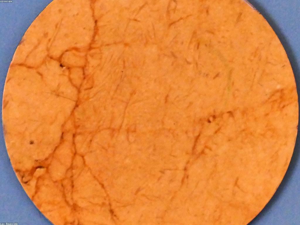 វិធីលេងហ្គេមផuzzle