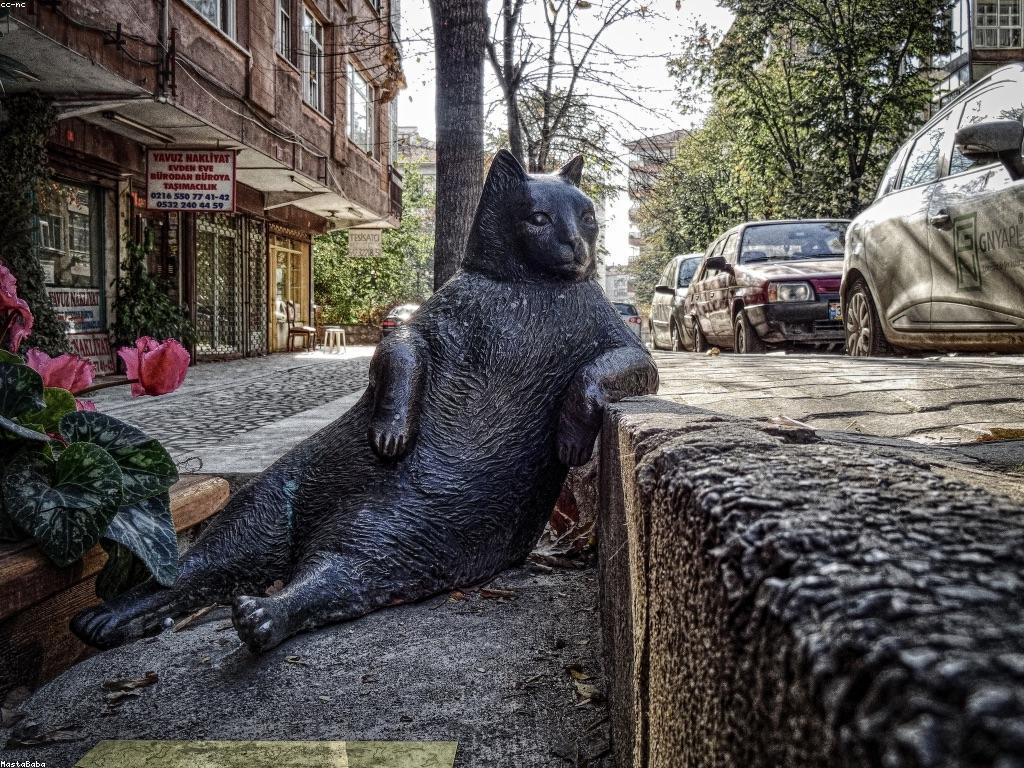 ការប្រកួតសូម្បី: គន្លឹះដើម្បីជោគជ័យ