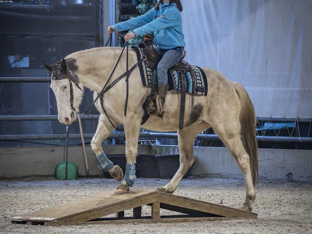 ល្បែងកីឡា: ការប្រកួត និងការអភិវឌ្ឍន៍