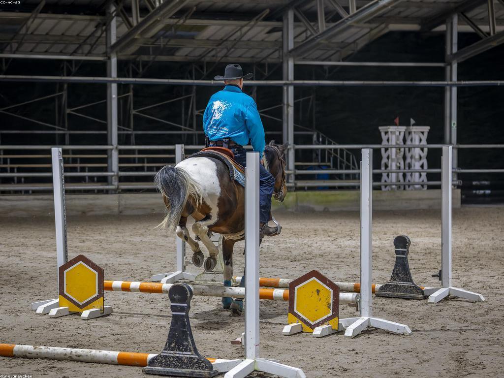 អ្វីដែលអ្នកគួរដឹងអំពីល្បែងកីឡា