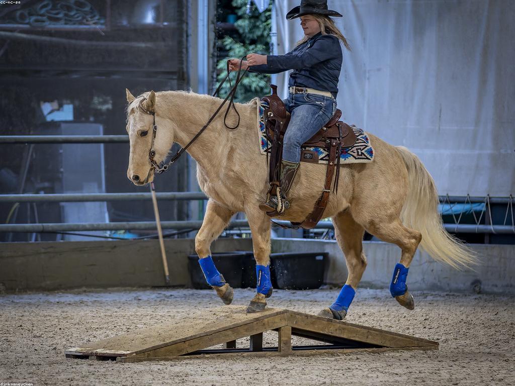 ល្បែងកីឡា: ការយល់ដឹងអំពីពិភពកីឡា