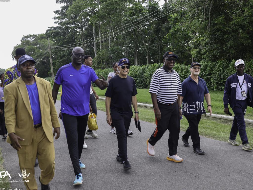 វប្បធម៌និងគម្លាតនៃល្បែងកីឡា